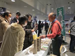 色々な樹種の樹幹も展示しました