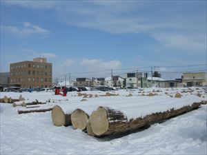 旭川林業会館の土場