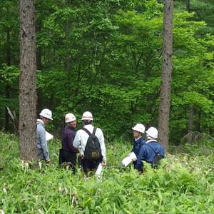班毎に林内踏査を行い、施業方針を検討