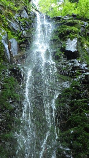 鹿の子沢「虹の滝」