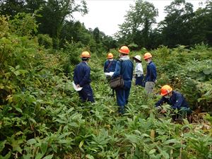 参加者による現地の確認