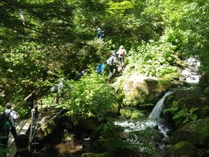 登山の始まり