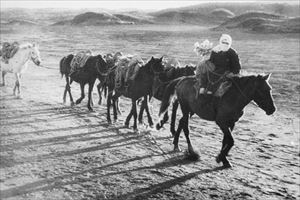 昭和20年代の砂塵舞う中を馬で荷物を運ぶ写真