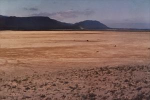 緑化前のえりも砂漠の風景