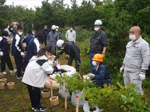 植樹したい木を選んでいる様子