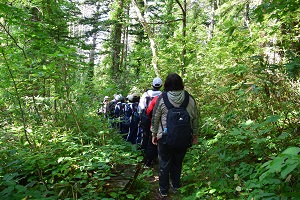 鴛泊旧登山道を歩いて帰ります