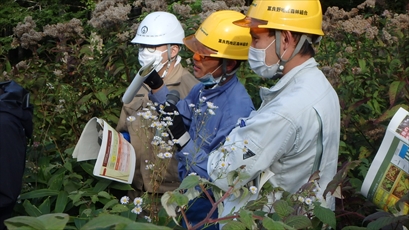 地がきにより天然更新が完了した場合のトータルコストの減少について質問がありました_R