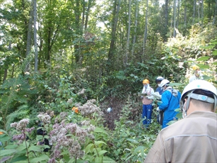 除去したA層を試験地の周囲に土盛りすると、周囲を境に笹の根系伸長が抑制されている様子を説明_R