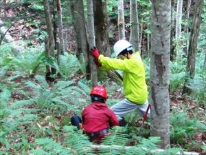 協力しての除伐作業（7月）