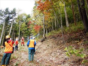 「天然力を活かした多様な森づくり」の現地