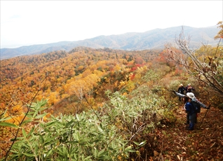 整備された歩道から眼下の紅葉