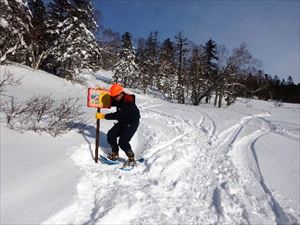 看板が風などで倒れないように、スノーシューで看板の足下を踏み固めました。