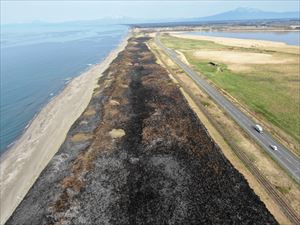 火入れ後・ドローンによる空撮