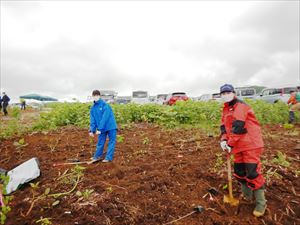 植樹の様子