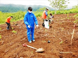 植樹の様子