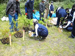 どの苗木を植樹するか選んで移植