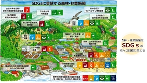 SDGsに貢献する森林・林業施業