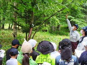 樹木の特性について説明