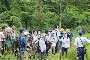 風倒被害地での復旧に状況の説明