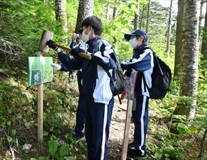 鴛泊旧登山道にも花を紹介する看板を設置