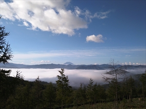 雲海