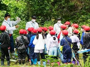 吸水実験についての説明