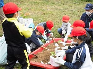 植樹体験（土入れ）の様子