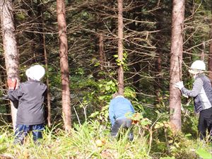 13林班か小班（S59年植栽）