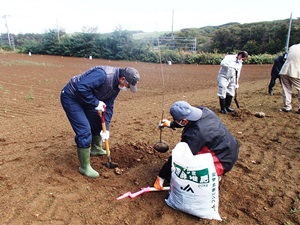 植樹指導する森林官 大きく育つよう丁寧に植樹