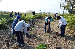 植樹作業中