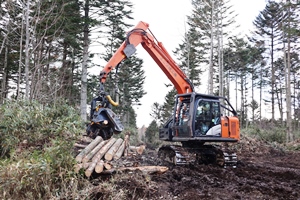 ハーベスタによる立木伐採の実演