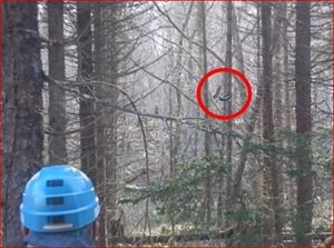 （写真２）オペレーター（青いヘルメット）の操作で林内を飛行するSkydio2（赤丸）