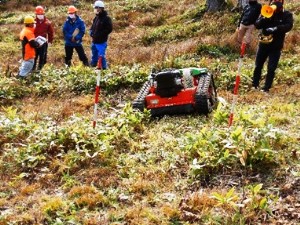 写真3.残幅で下刈の実演