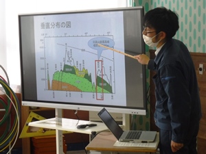 垂直分布の説明