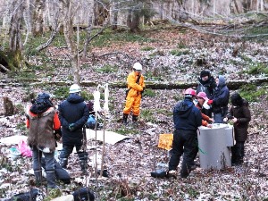 巣箱、巣材、梯子、ロープ等のほかに儀式用の物も現地まで運搬