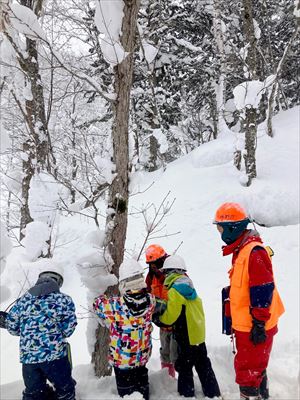 木の冬芽の観察～冬芽は赤いかな？黒いかな？～