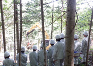 高性能林業機械ハーベスタによる玉切り作業を安全な場所から見学