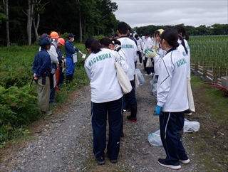 防風林の効果についての話