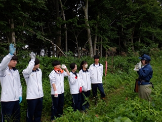 下刈り作業はどうしてするの？