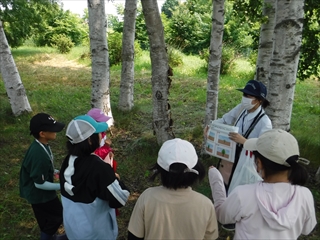 木々の説明をする職員