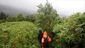 雨も強くなってきたため急いで下山します。