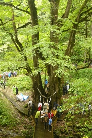 縁桂（高台からの風景）