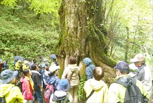 女性は右側の木に触れると・・・