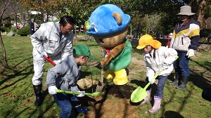 苫前町のゆるキャラ「くまだとまお」と植樹です