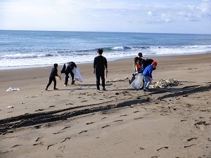 海岸沿いのゴミを回収している様子