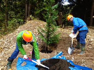檜山森林管理署職員も植樹のお手伝い