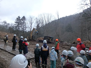 土場での椪積み作業