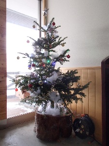 綺麗に飾られたクリスマスツリーの完成