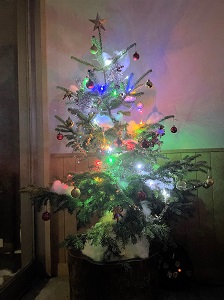 夕方になりライトが点滅するクリスマスツリー