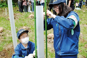仕上げに結束バンドで固定